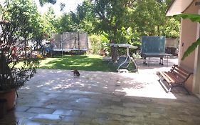 Casa inflorita garsoniere parter